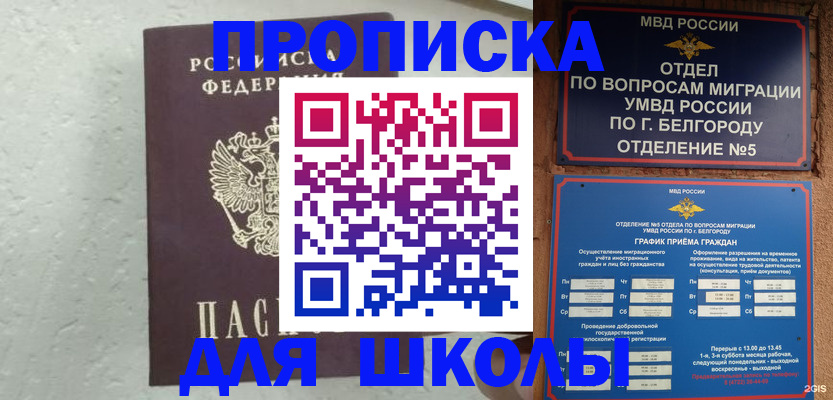 временная регистрация недорого в Владимире